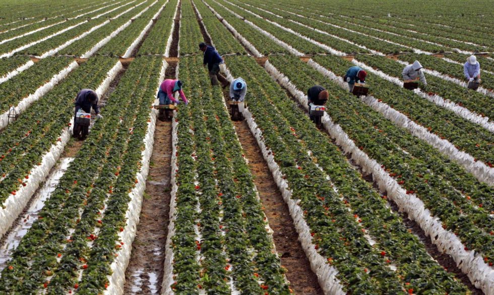 Lideres Campesinas | a network of women farmworker leaders